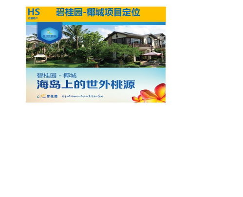 房地产营销策划 引领楼盘成功销售的专业之道