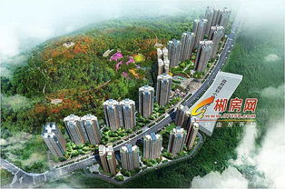 郴房网电商部强势入驻 组团共赢云鼎天阙