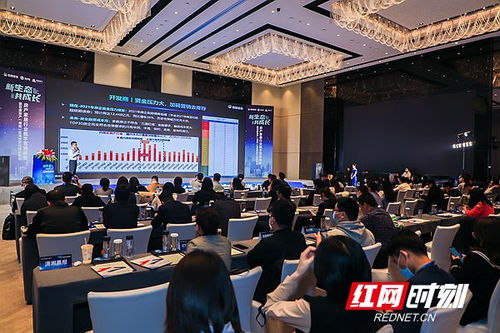 房产湖南站正式启航，深耕代理服务助力湖湘地产新篇