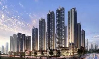 青年城邦 以产品与服务双轮驱动，实现市场全方位布局