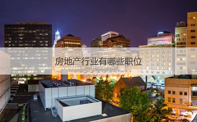 南宁振宁房地产概况与房地产销售、策划代理入门指南